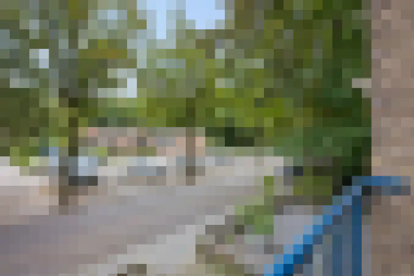 Floreslaan 50 Ede thumbnail 25