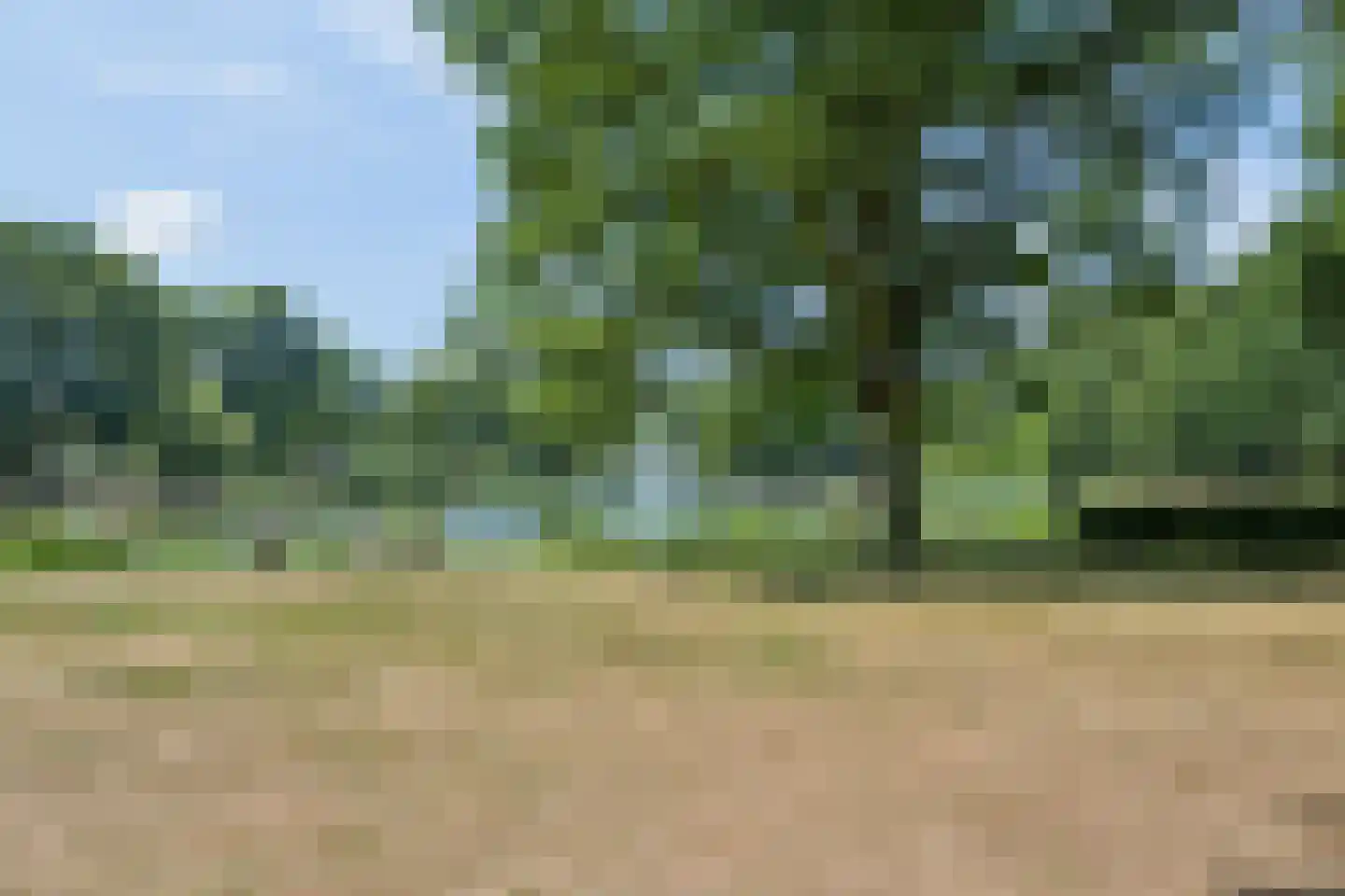 Floreslaan 50 Ede thumbnail 33