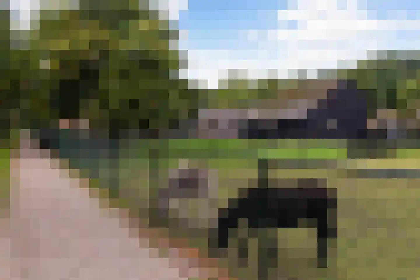 Floreslaan 50 Ede thumbnail 34