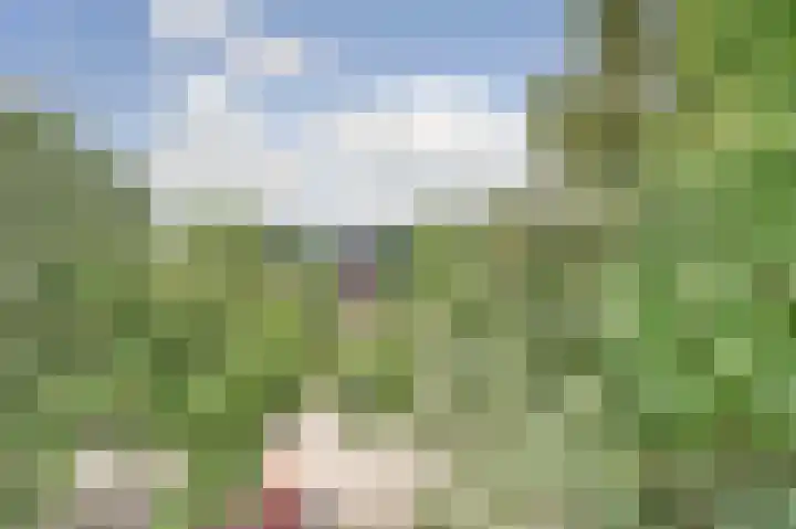 Floreslaan 64 Ede thumbnail 16