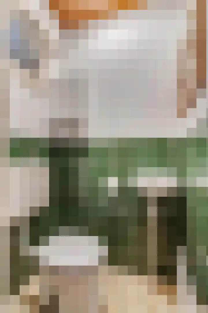 Floreslaan 80 Ede thumbnail 12