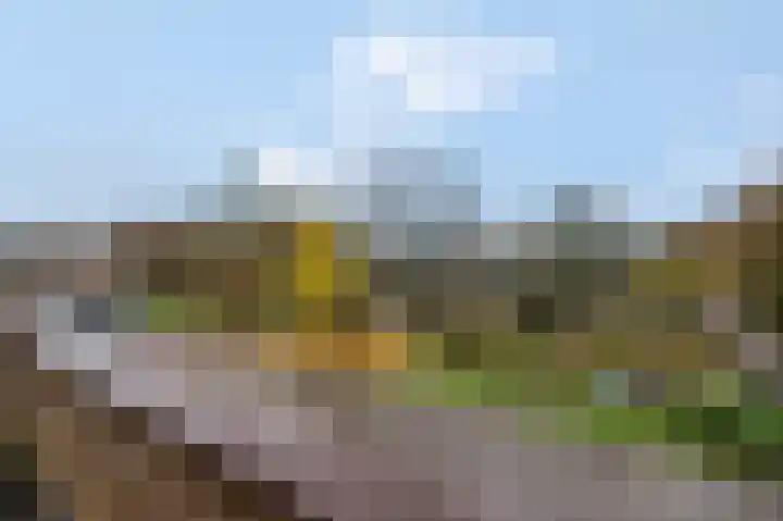 Floreslaan 80 Ede thumbnail 32