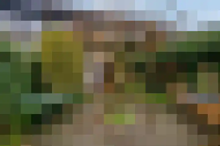 Floreslaan 80 Ede thumbnail 34