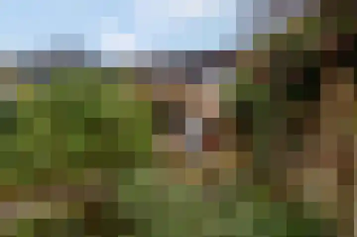 Floreslaan 80 Ede thumbnail 35