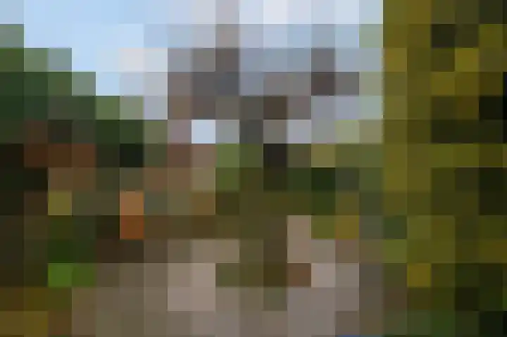Floreslaan 80 Ede thumbnail 37