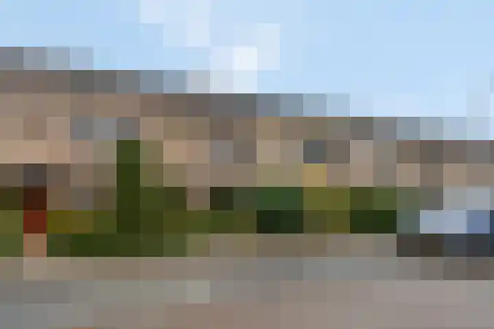Floreslaan 80 Ede thumbnail 39