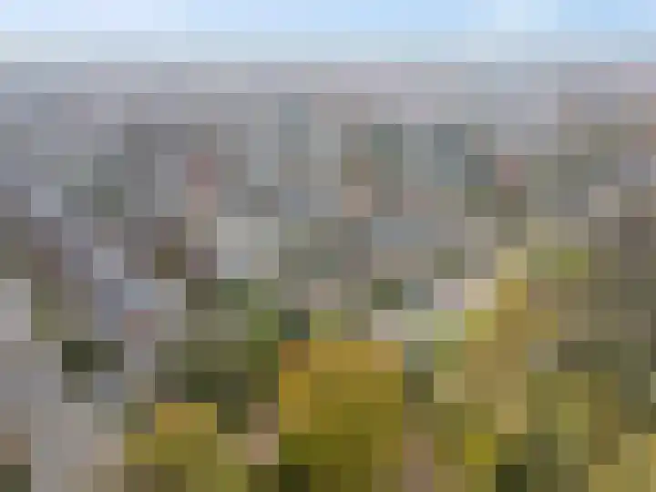 Floreslaan 80 Ede thumbnail 46