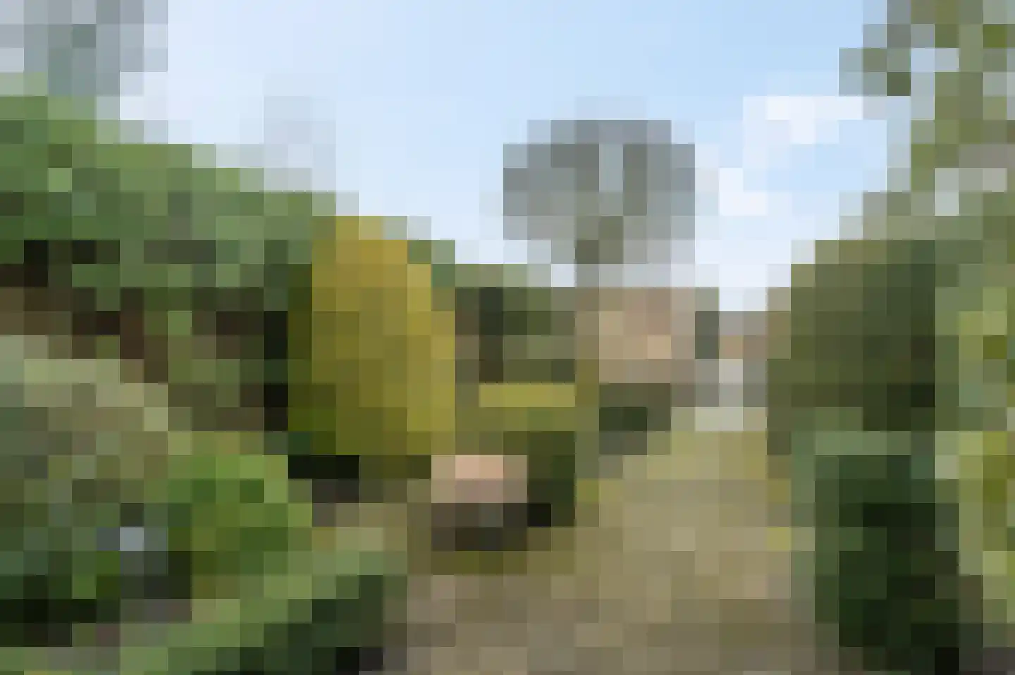 Floreslaan 82 Ede thumbnail 25
