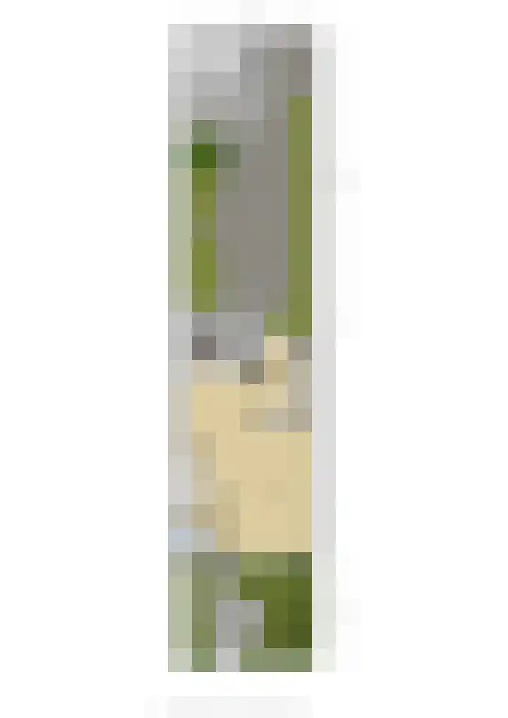 Floreslaan 82 Ede thumbnail 42