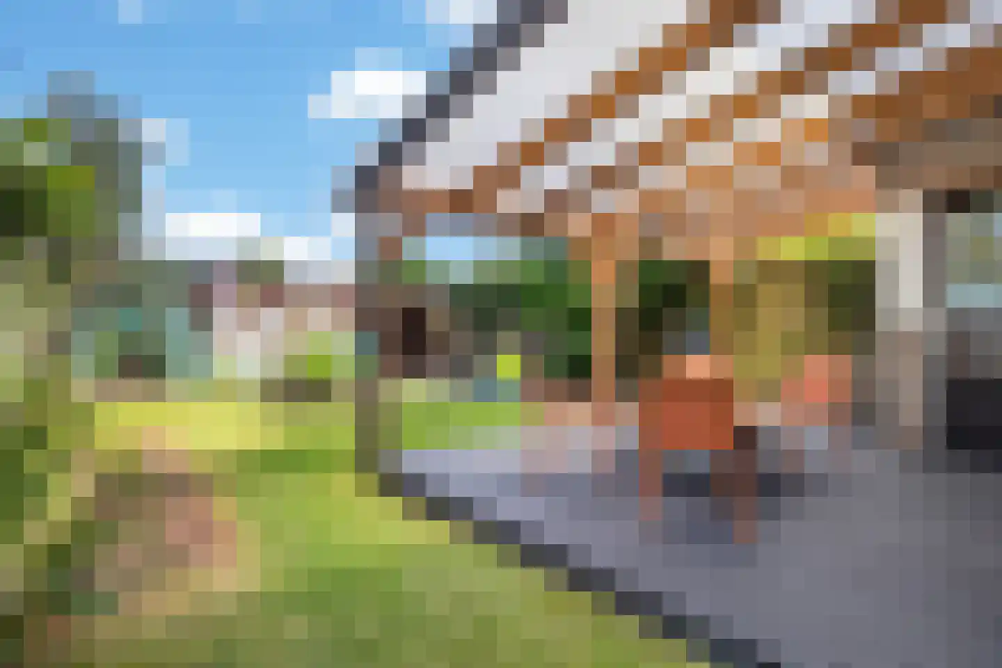 Floreslaan 84 Ede thumbnail 21