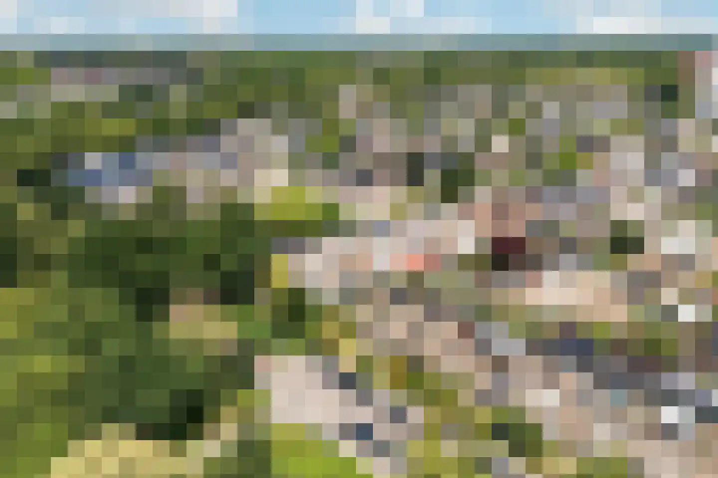 Floreslaan 84 Ede thumbnail 51