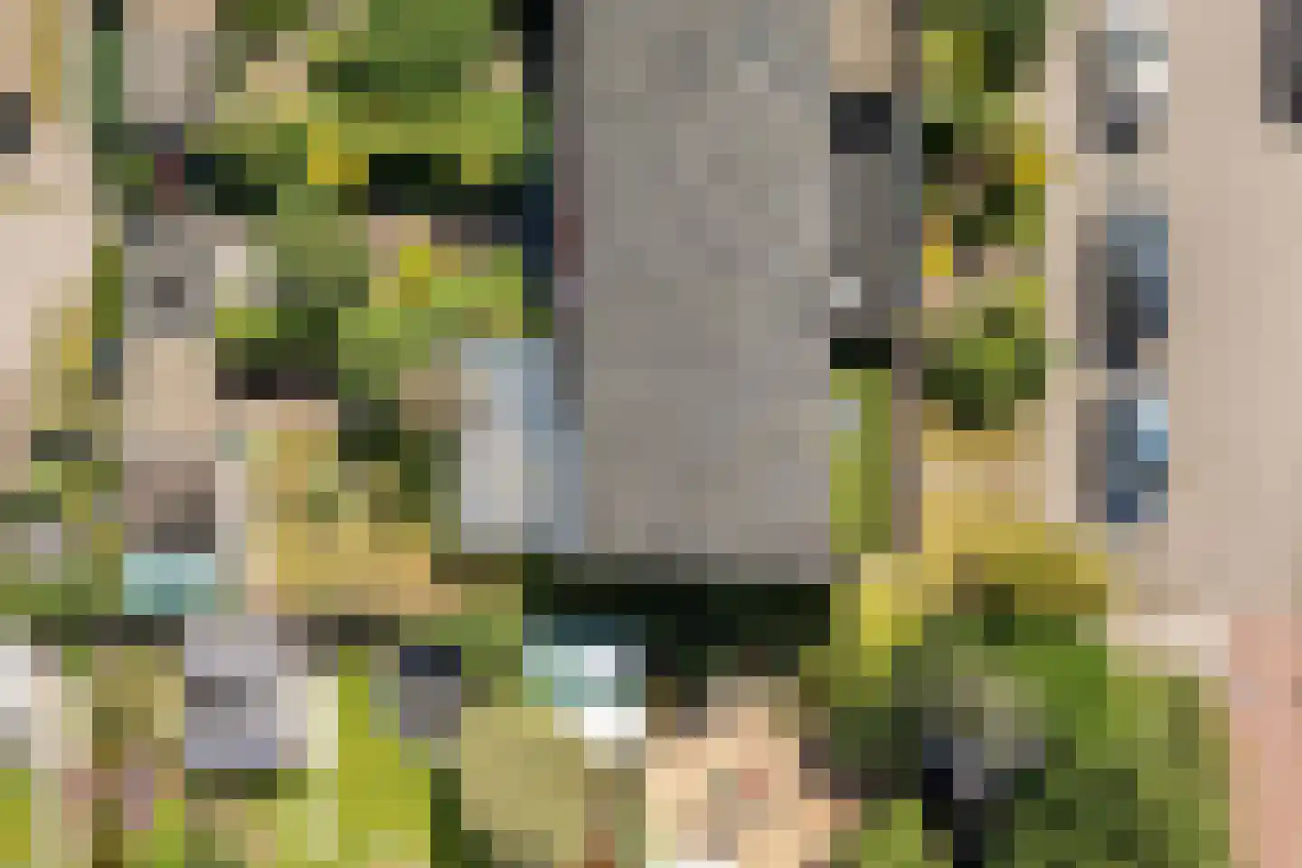 Floreslaan 84 Ede thumbnail 54
