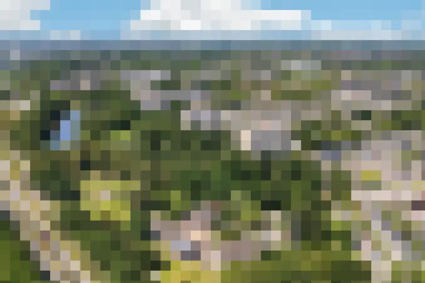 Floreslaan 84 Ede thumbnail 56