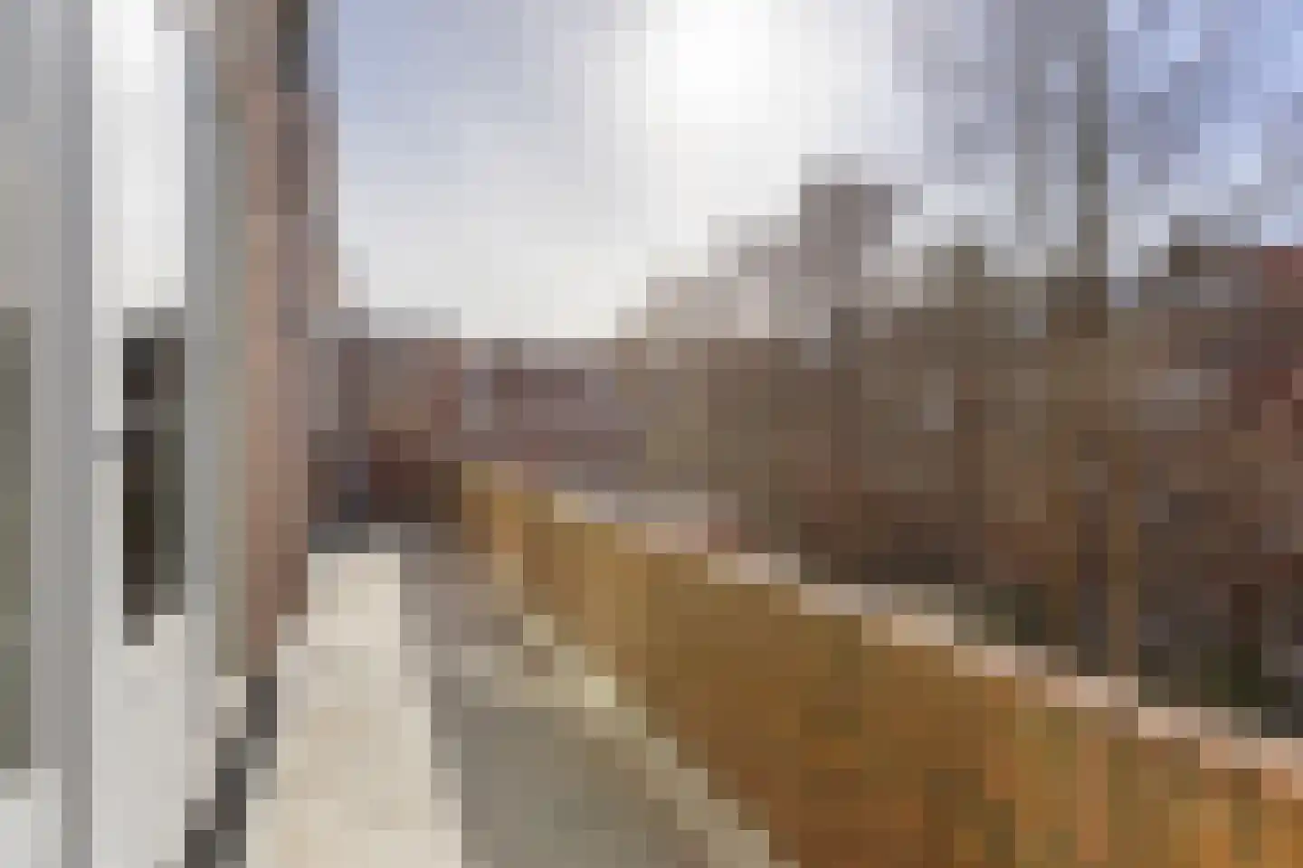 Floresplein 10 b Groningen thumbnail 29