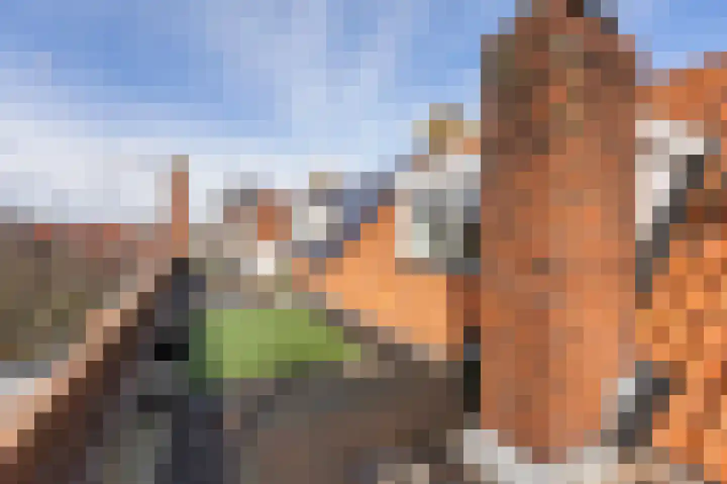 Floresplein 10 b Groningen thumbnail 32