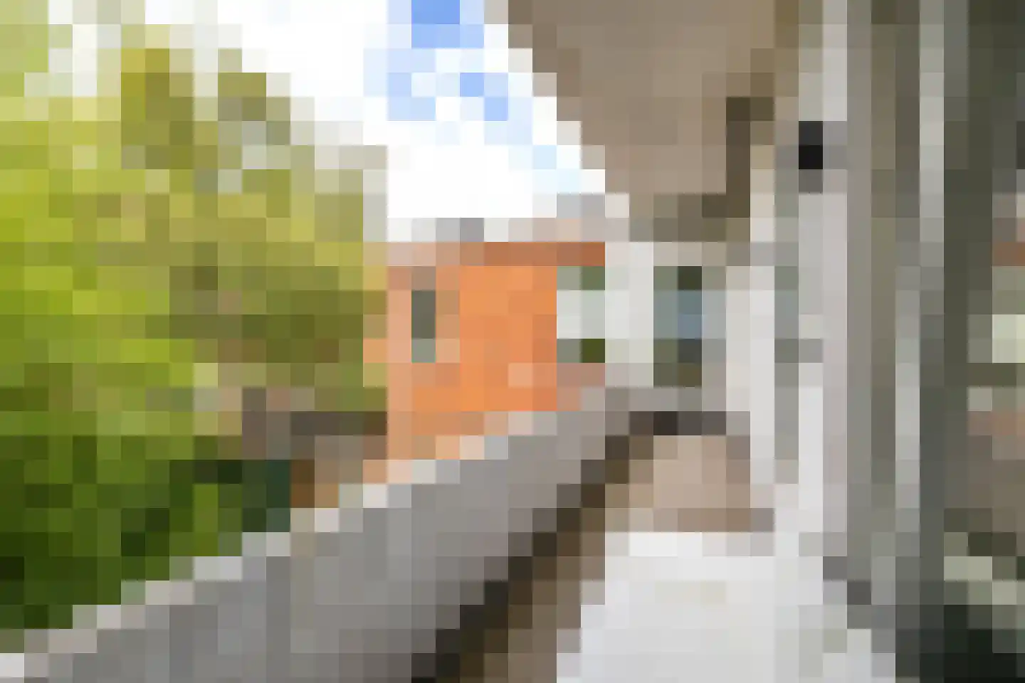 Floresplein 16 a Groningen thumbnail 29