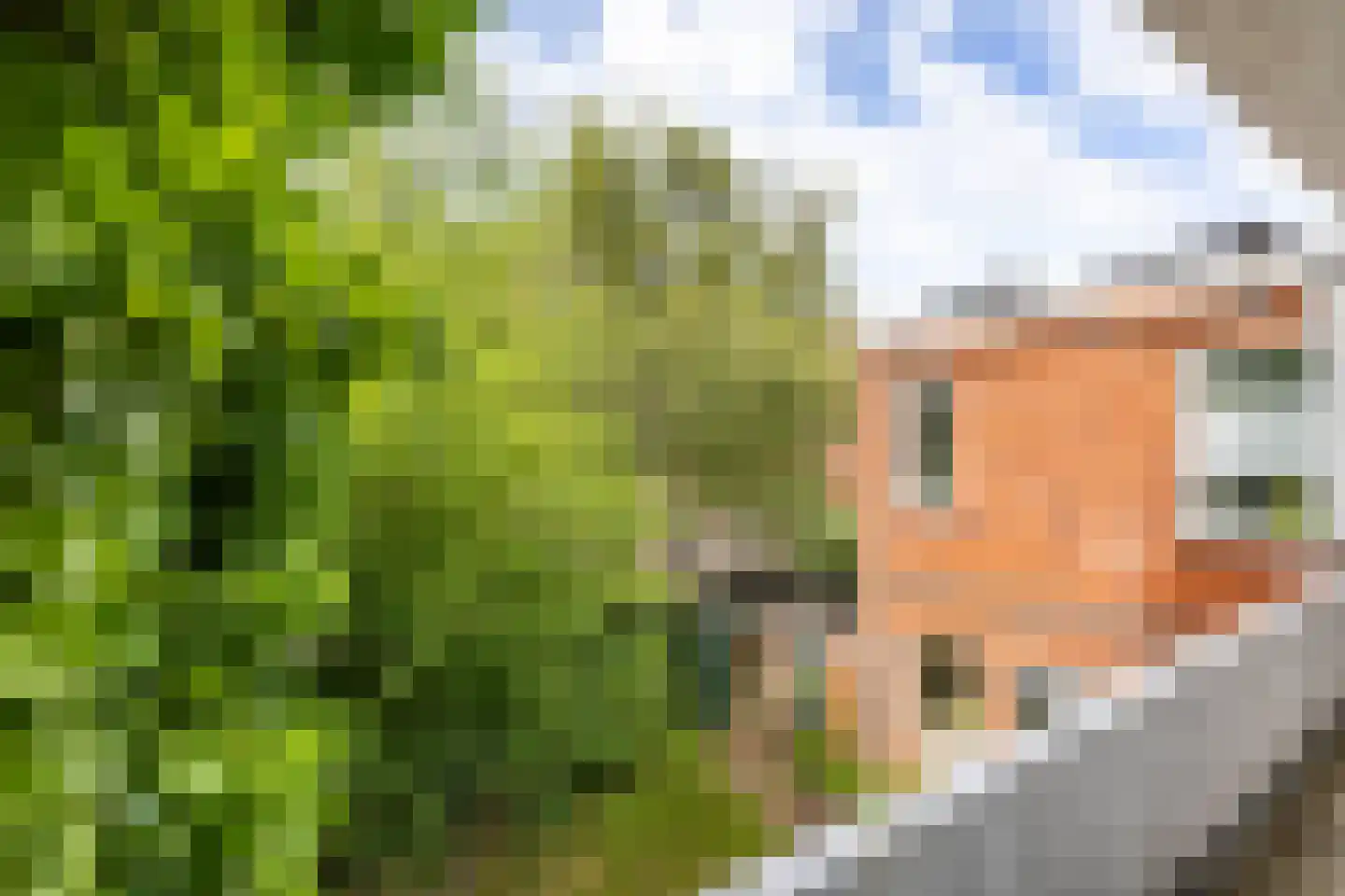 Floresplein 16 a Groningen thumbnail 30