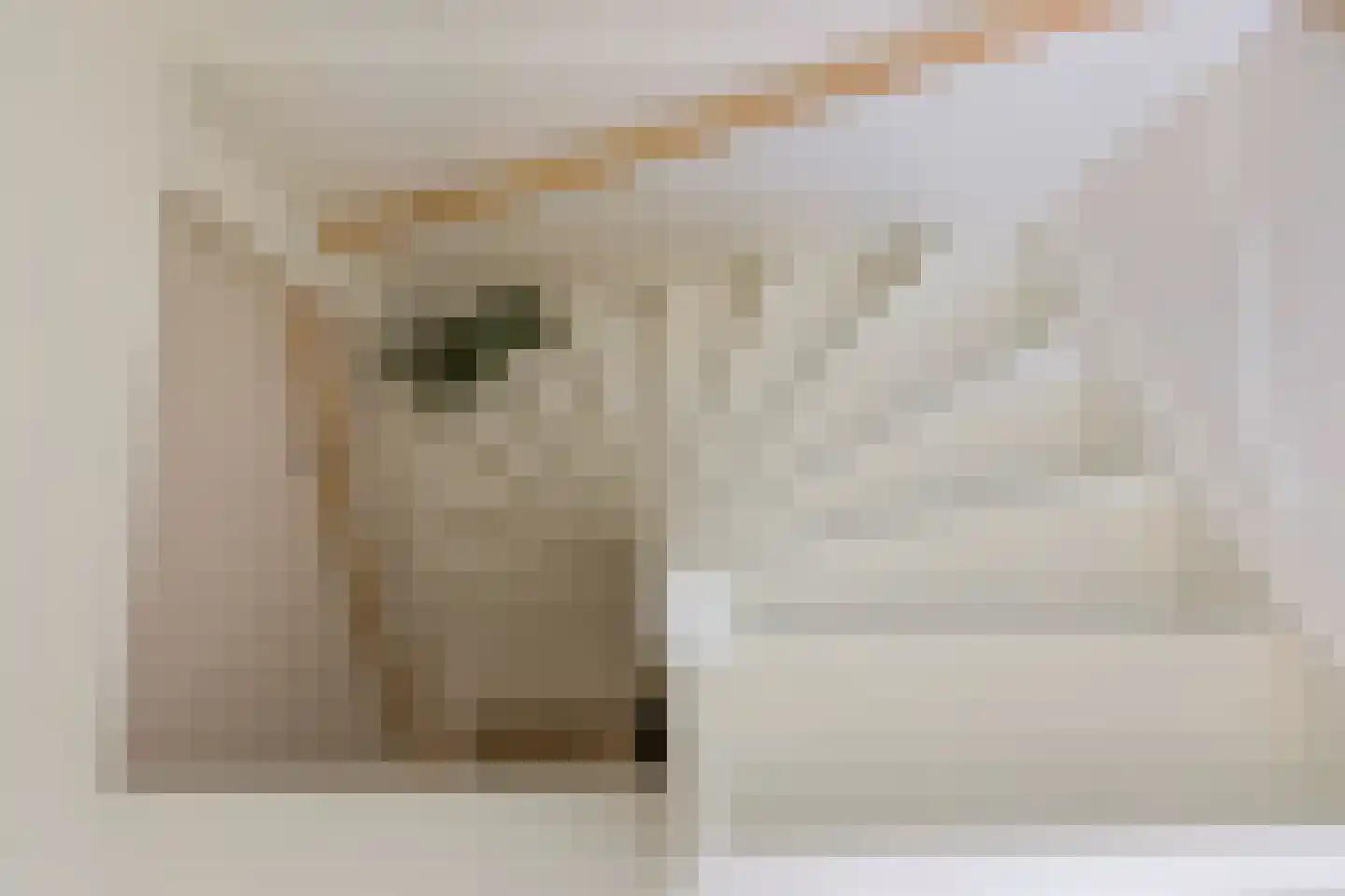 Floresplein 28 a Groningen thumbnail 32