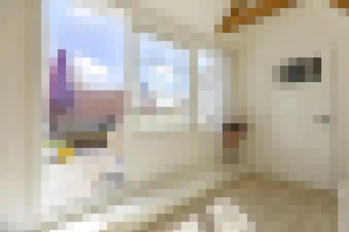 Floresplein 28 a Groningen thumbnail 41
