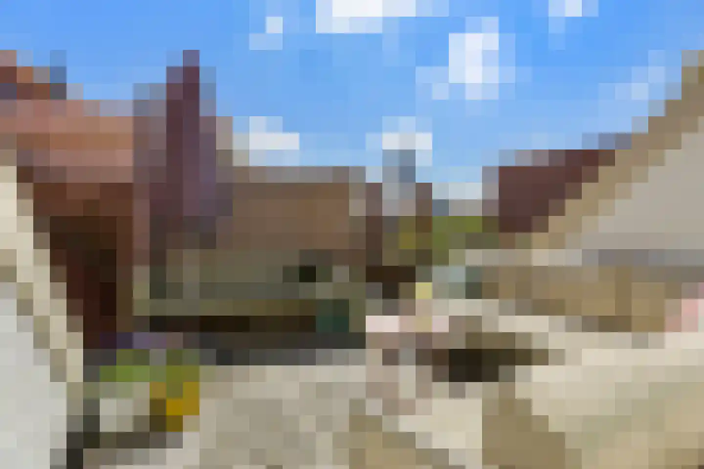 Floresplein 28 a Groningen thumbnail 42