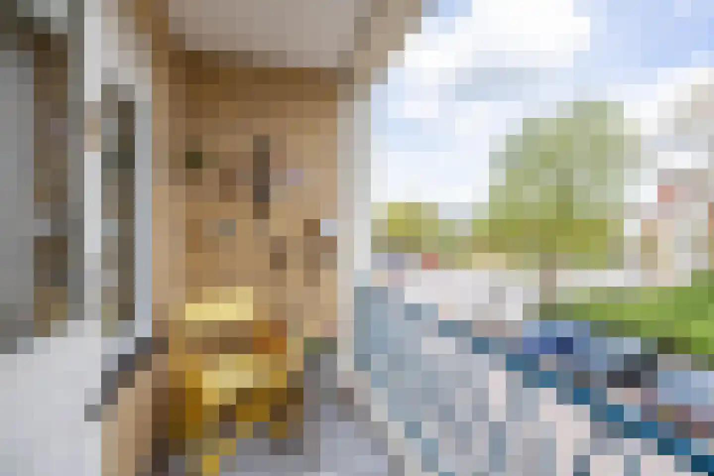 Floresplein 36 Groningen thumbnail 17