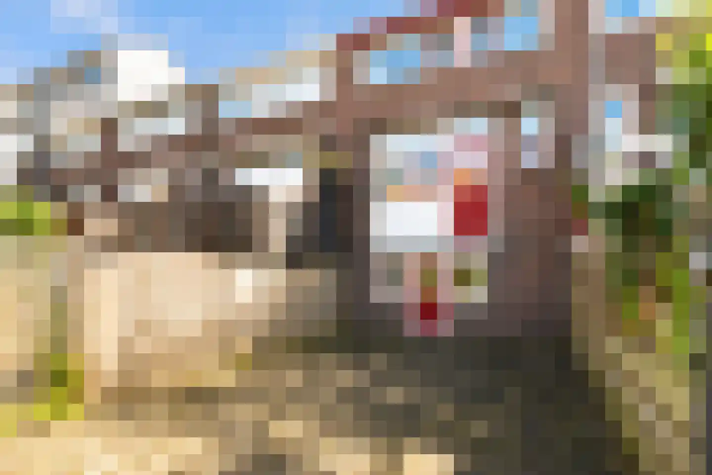 Floresstraat 11 Dordrecht thumbnail 6