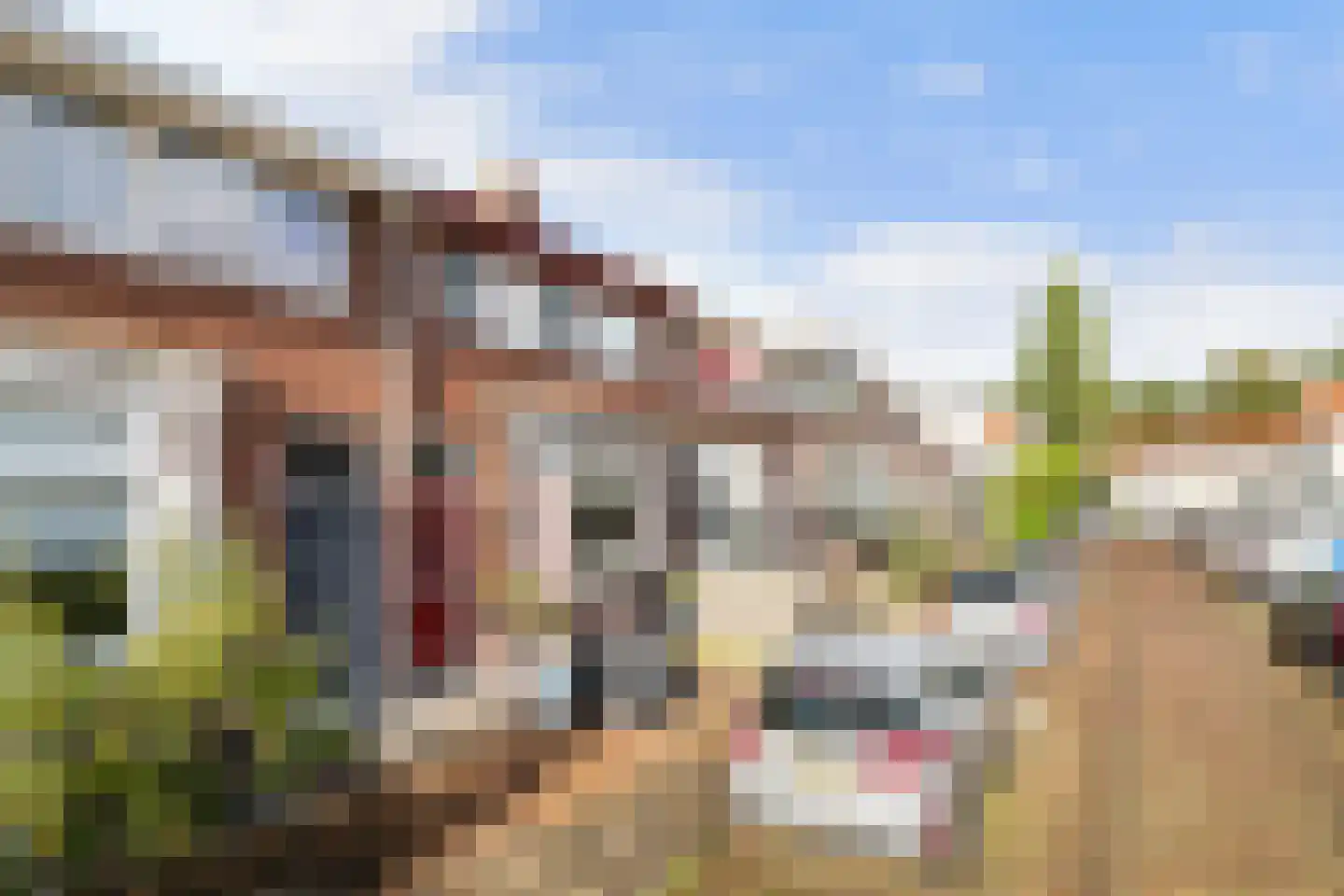 Floresstraat 11 Dordrecht thumbnail 7