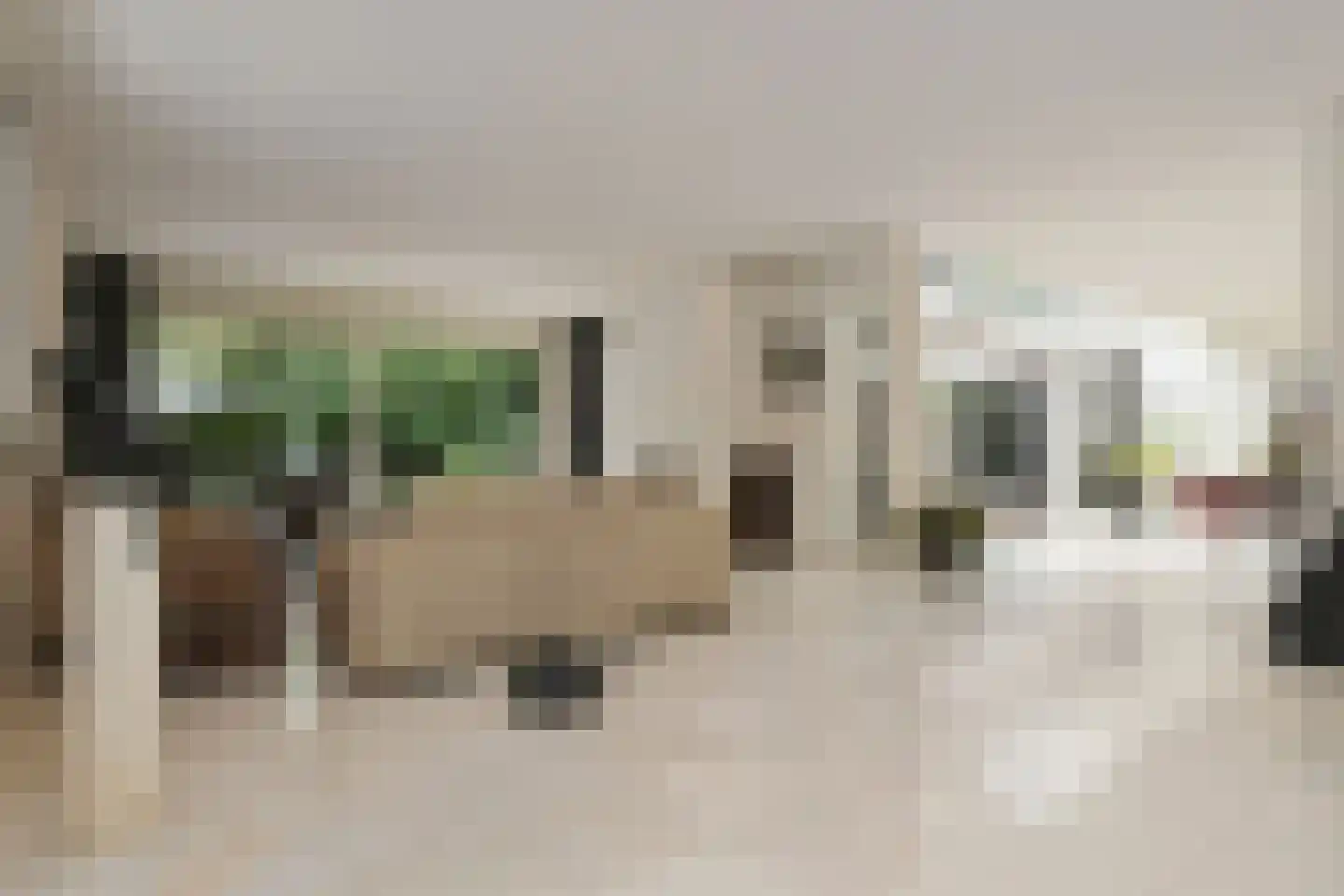Floresstraat 13 Eindhoven thumbnail 13
