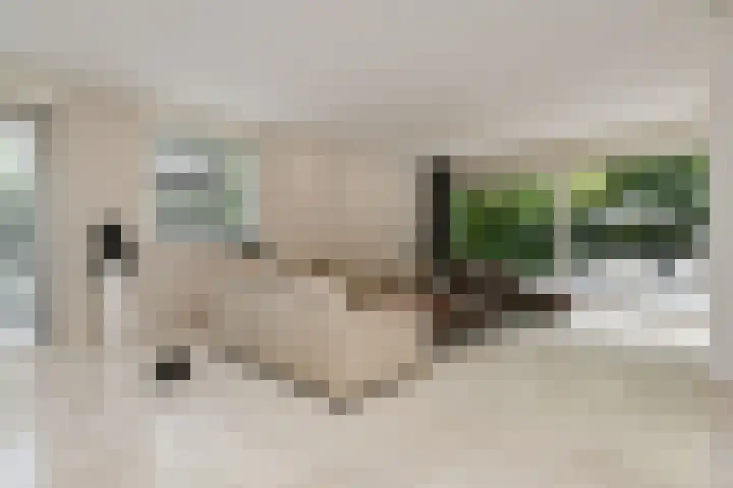 Floresstraat 13 Eindhoven thumbnail 14