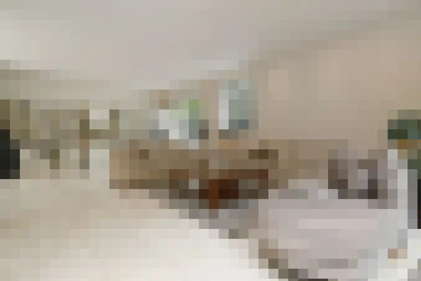 Floresstraat 13 Eindhoven thumbnail 16