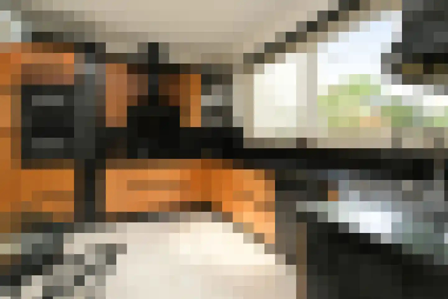 Floresstraat 13 Eindhoven thumbnail 19