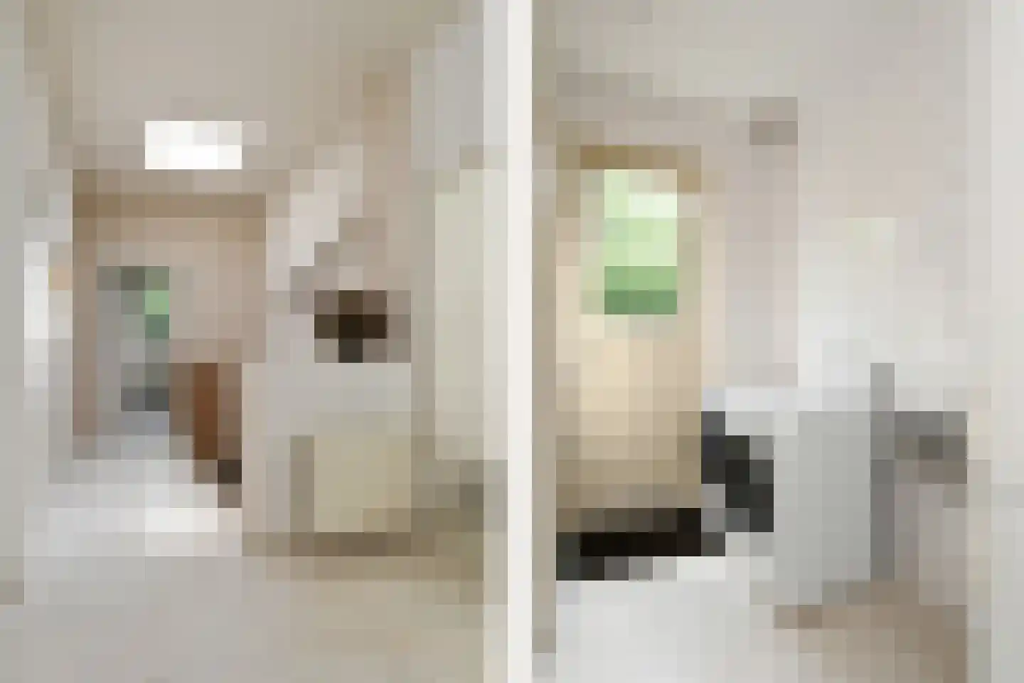 Floresstraat 13 Eindhoven thumbnail 32