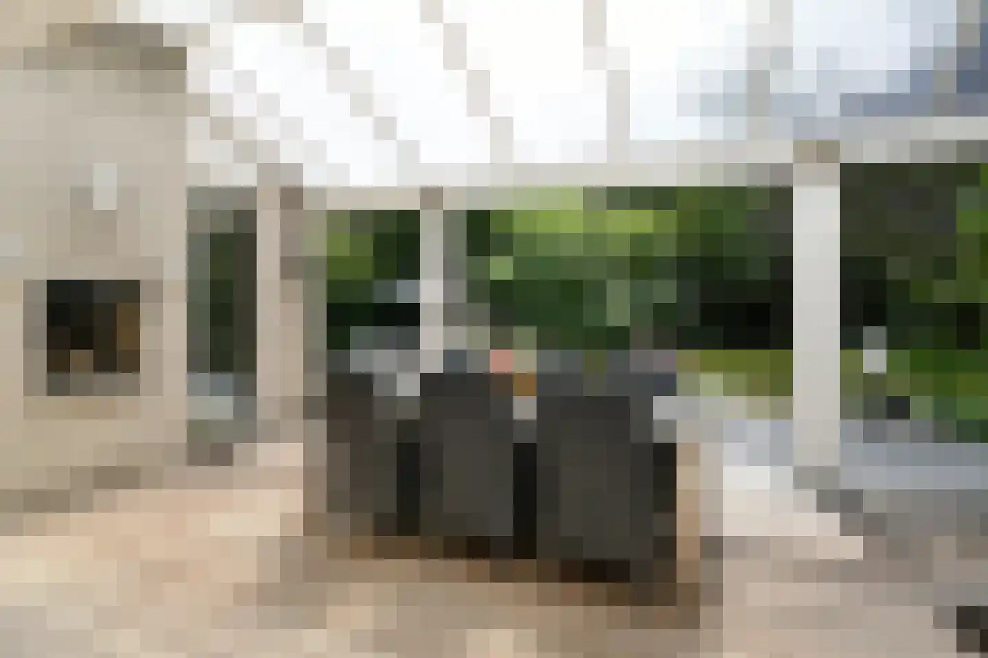 Floresstraat 13 Eindhoven thumbnail 37