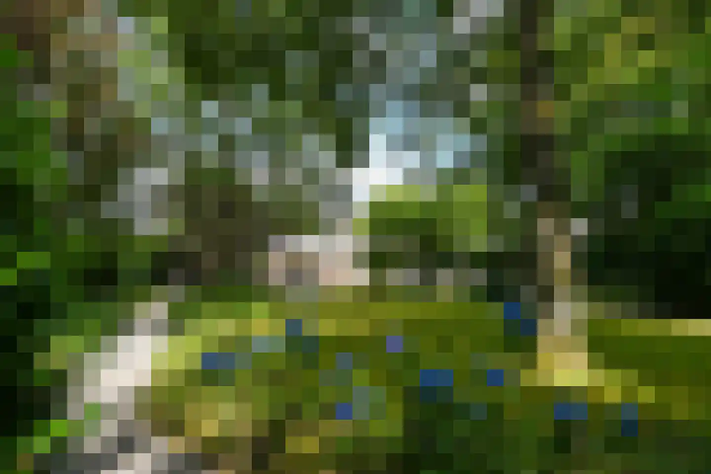 Floresstraat 13 Eindhoven thumbnail 4