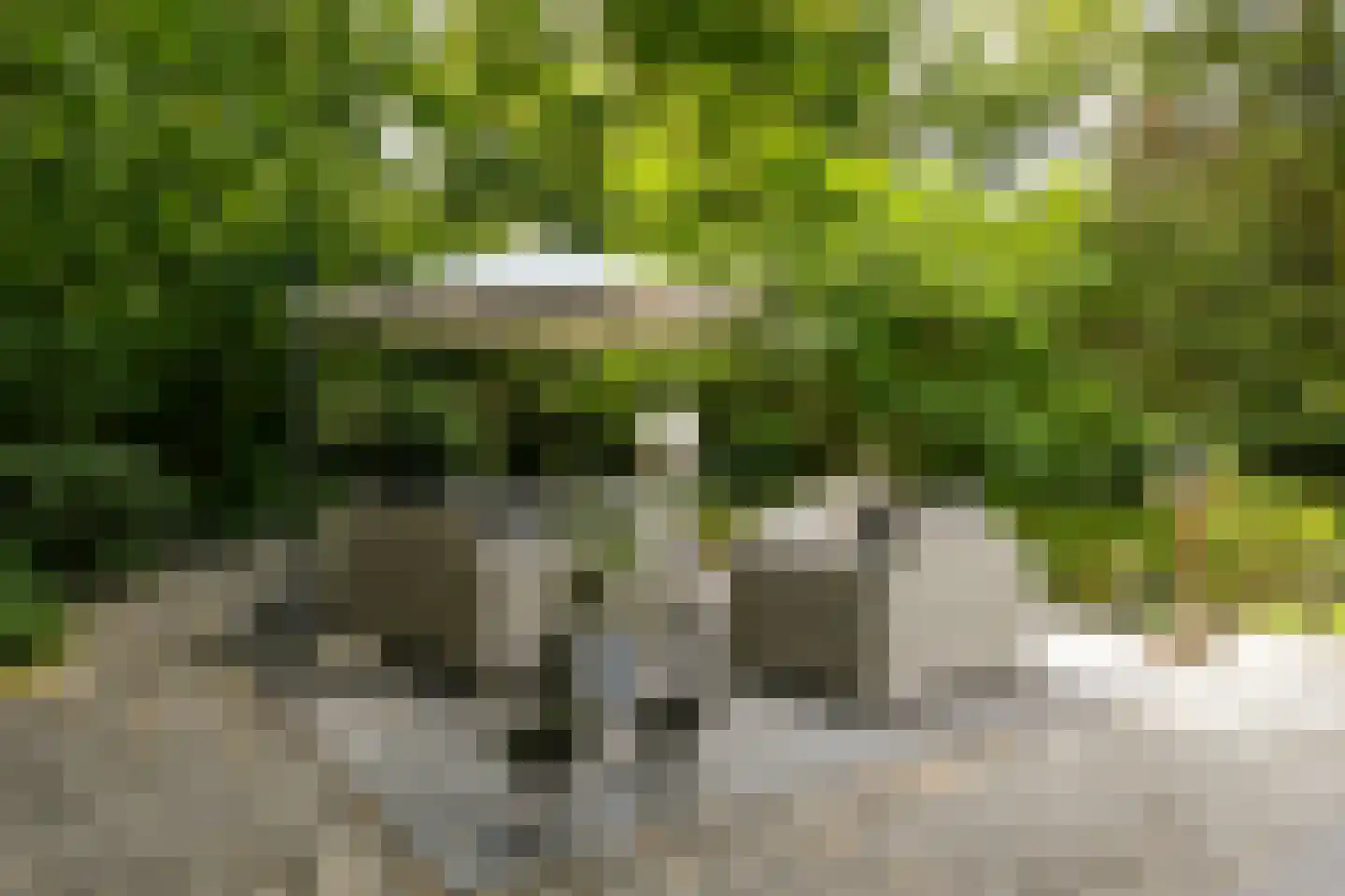 Floresstraat 13 Eindhoven thumbnail 43