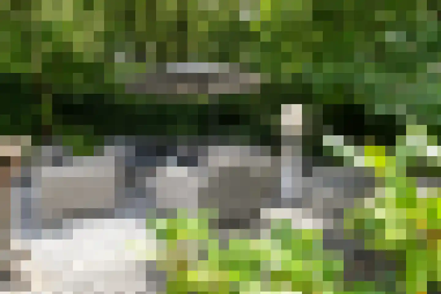 Floresstraat 13 Eindhoven thumbnail 44