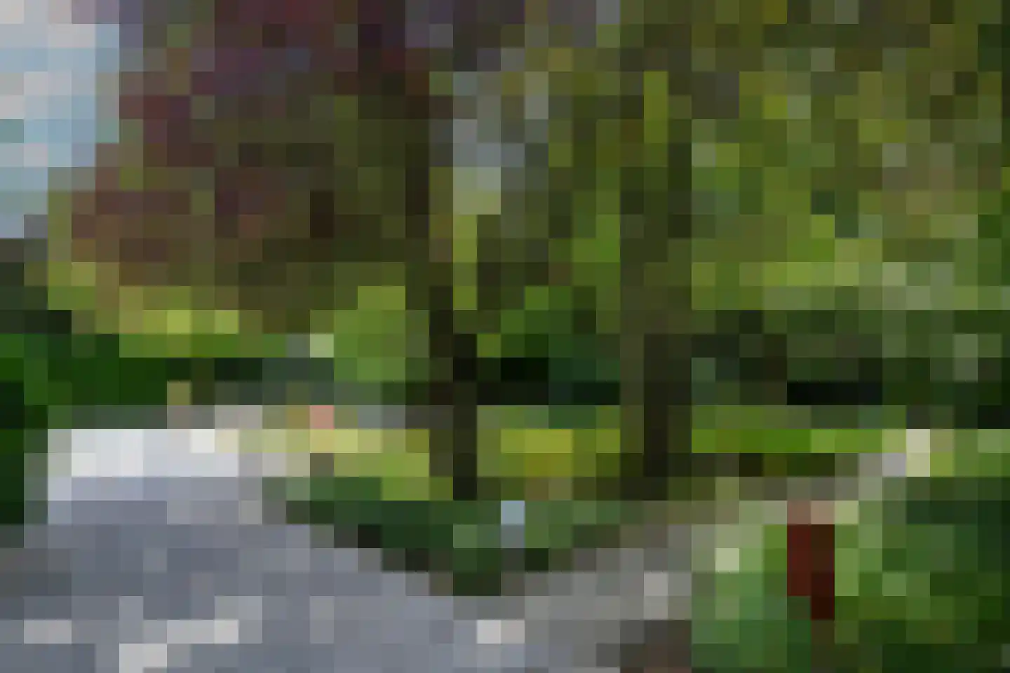 Floresstraat 13 Eindhoven thumbnail 46