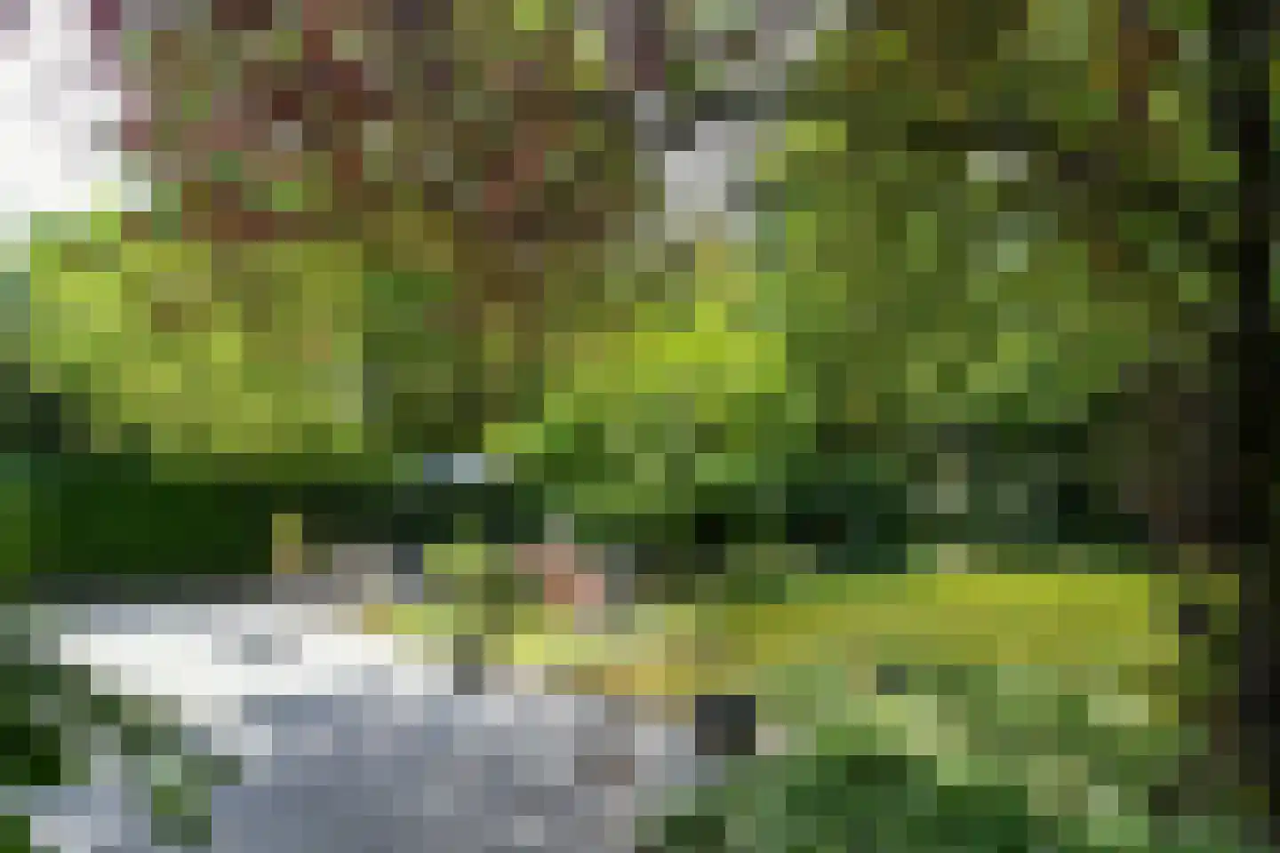 Floresstraat 13 Eindhoven thumbnail 47