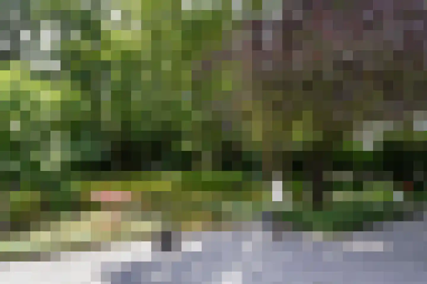Floresstraat 13 Eindhoven thumbnail 48