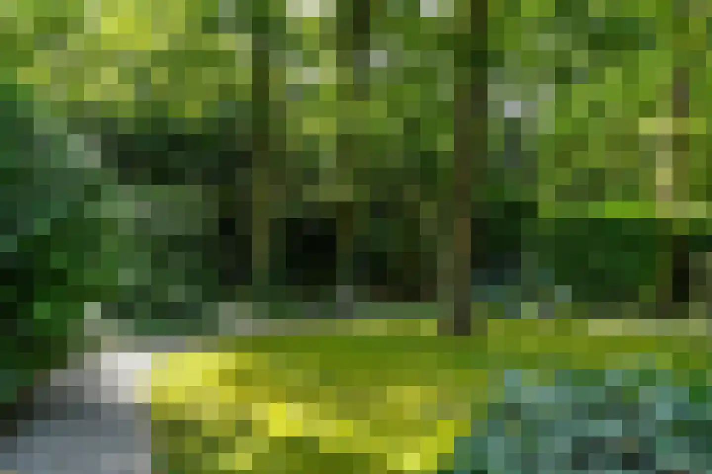 Floresstraat 13 Eindhoven thumbnail 49