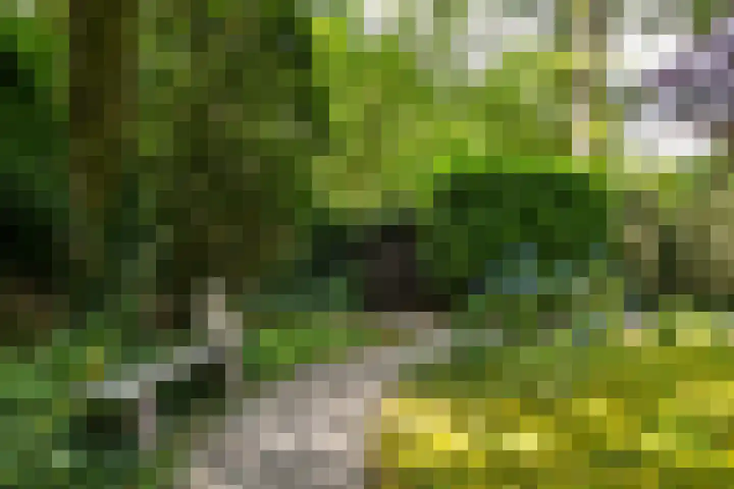 Floresstraat 13 Eindhoven thumbnail 50