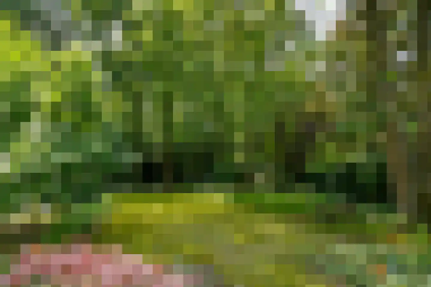 Floresstraat 13 Eindhoven thumbnail 51