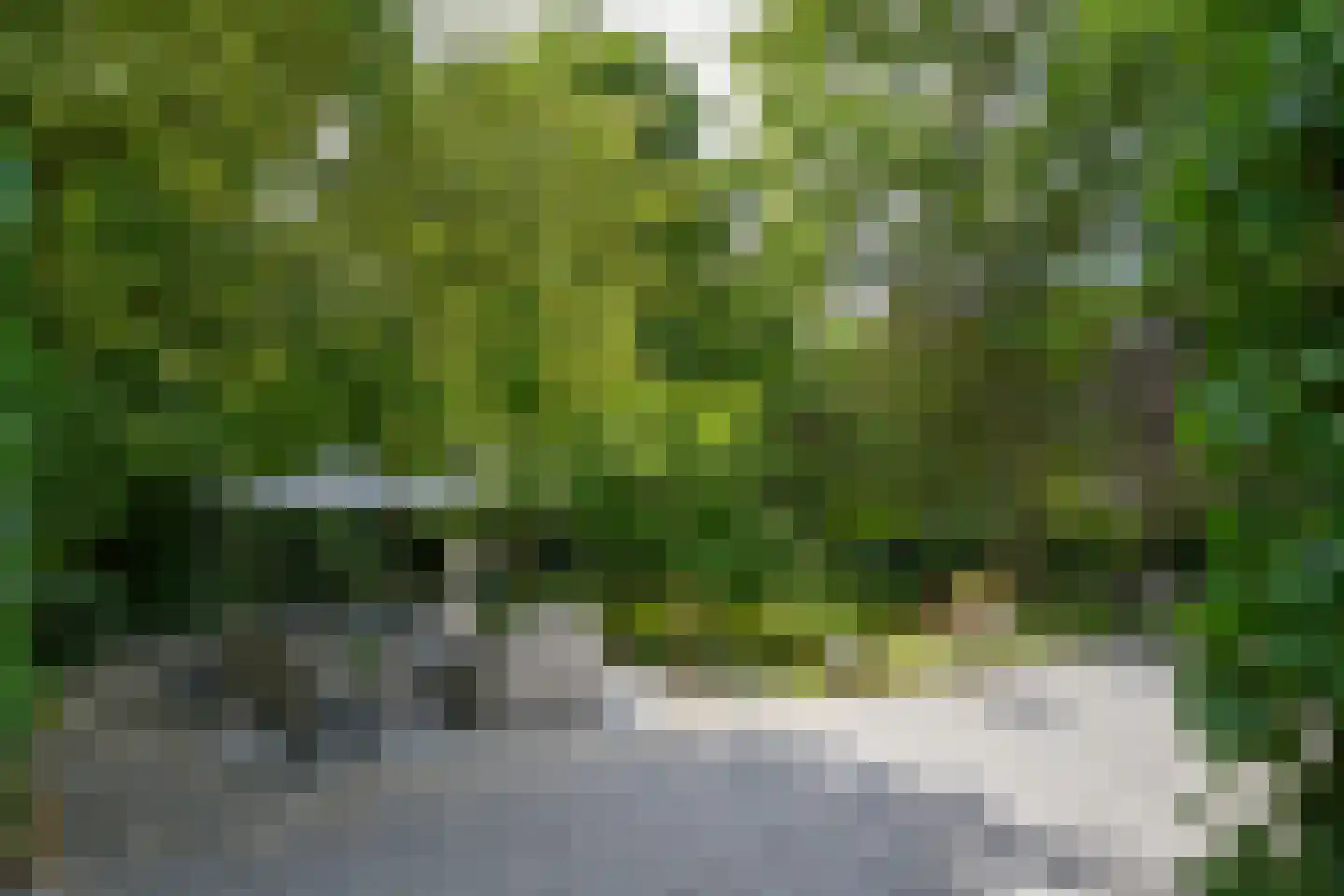 Floresstraat 13 Eindhoven thumbnail 6