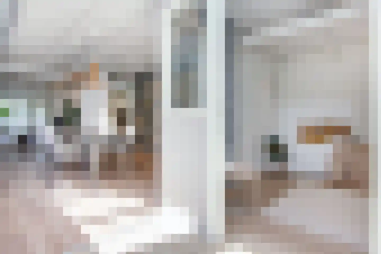 Floresstraat 13 Haarlem thumbnail 14