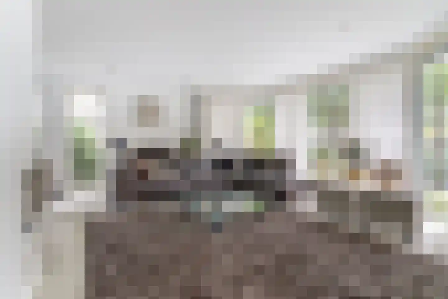 Floresstraat 15 Eindhoven thumbnail 11