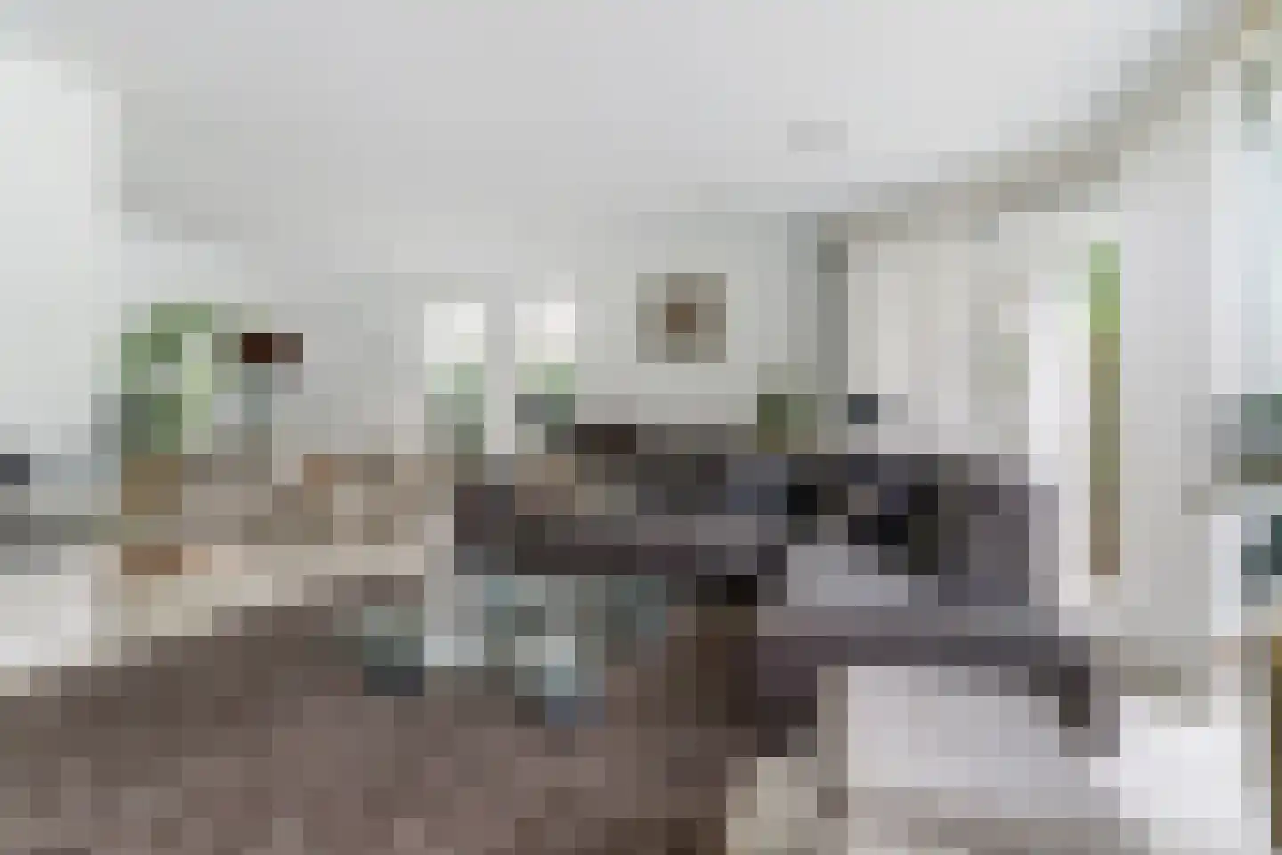 Floresstraat 15 Eindhoven thumbnail 12