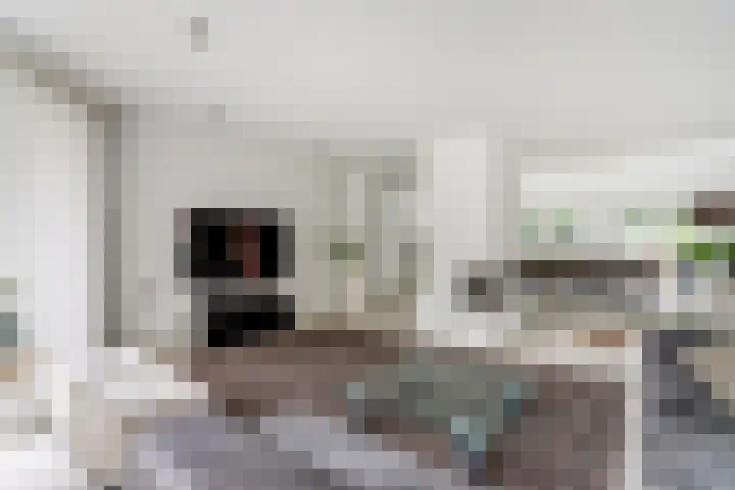 Floresstraat 15 Eindhoven thumbnail 13
