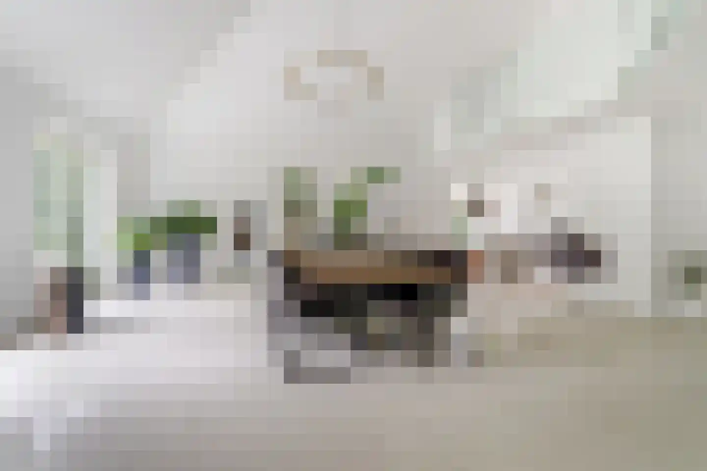 Floresstraat 15 Eindhoven thumbnail 20