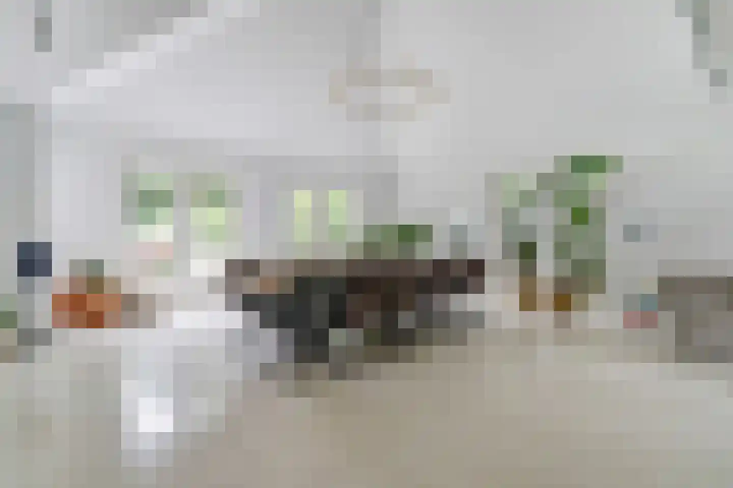 Floresstraat 15 Eindhoven thumbnail 21