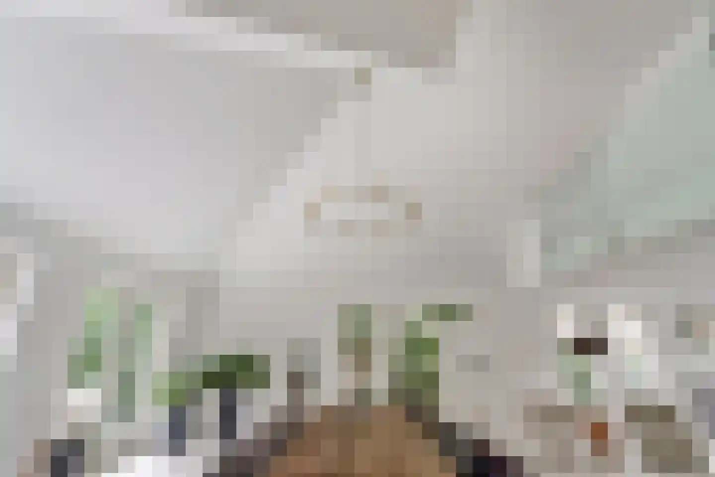 Floresstraat 15 Eindhoven thumbnail 24